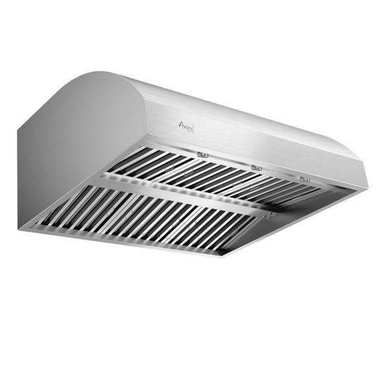 Awoco 42” Outdoor BBQ Vent Hood 17” High Type 304 Stainless Steel, 4 Speeds 2000 CFM, Dual Blowers, Adjustable LED Lights, 8” Round Top Vent - AWC-RH-WM-BBQ42
