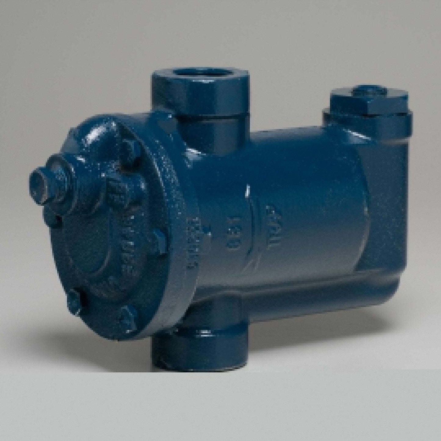 Armstrong International C5297-69 881 Inverted Bucket Steam Trap with Strainer 3/4 Inch NP - C5297-69T 30 PSI