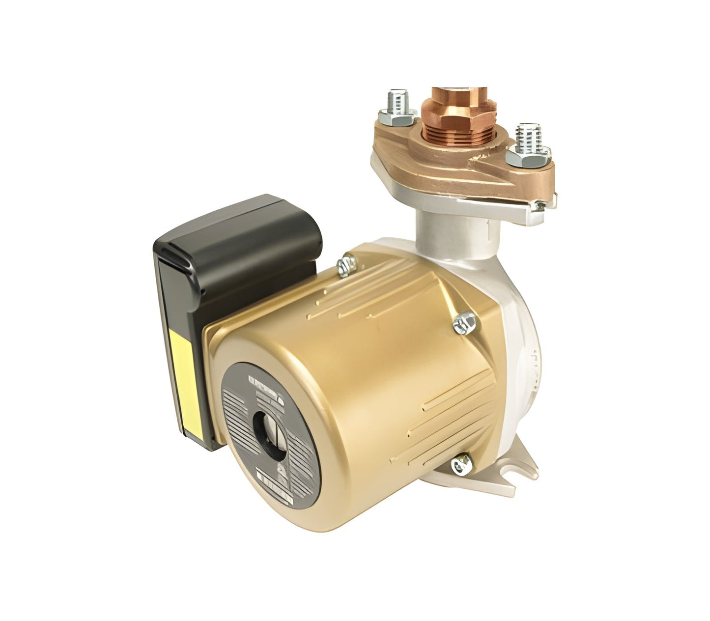 Armstrong 110223-309 115V ac 1/25 HP 3000 RPM 3-Speed Stainless Steel Circulator Pump - 110223-309