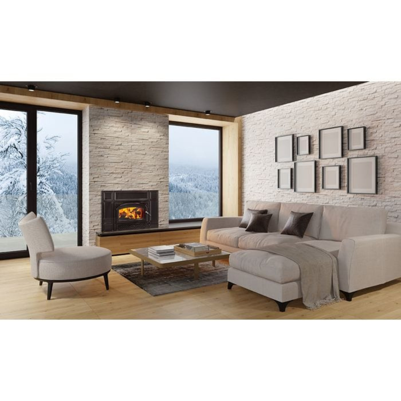 Vermont Castings Gifford Cast Iron Wood Burning Fireplace Insert - GIFFORD-CB