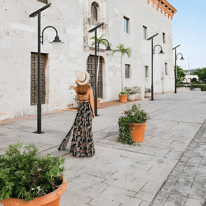 AVS Energy Solar Street Pole Light 2 x 20 Watt 2 x 3000 Lumens 5000K Black Housing Pathway Lighting Garden Light Solar Post Top CAPE Light - AVS-CAPE-2X20W