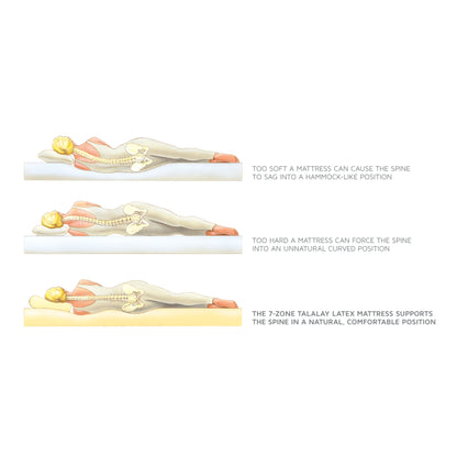 Royal Pedic Latex Quilt-Top Mattress