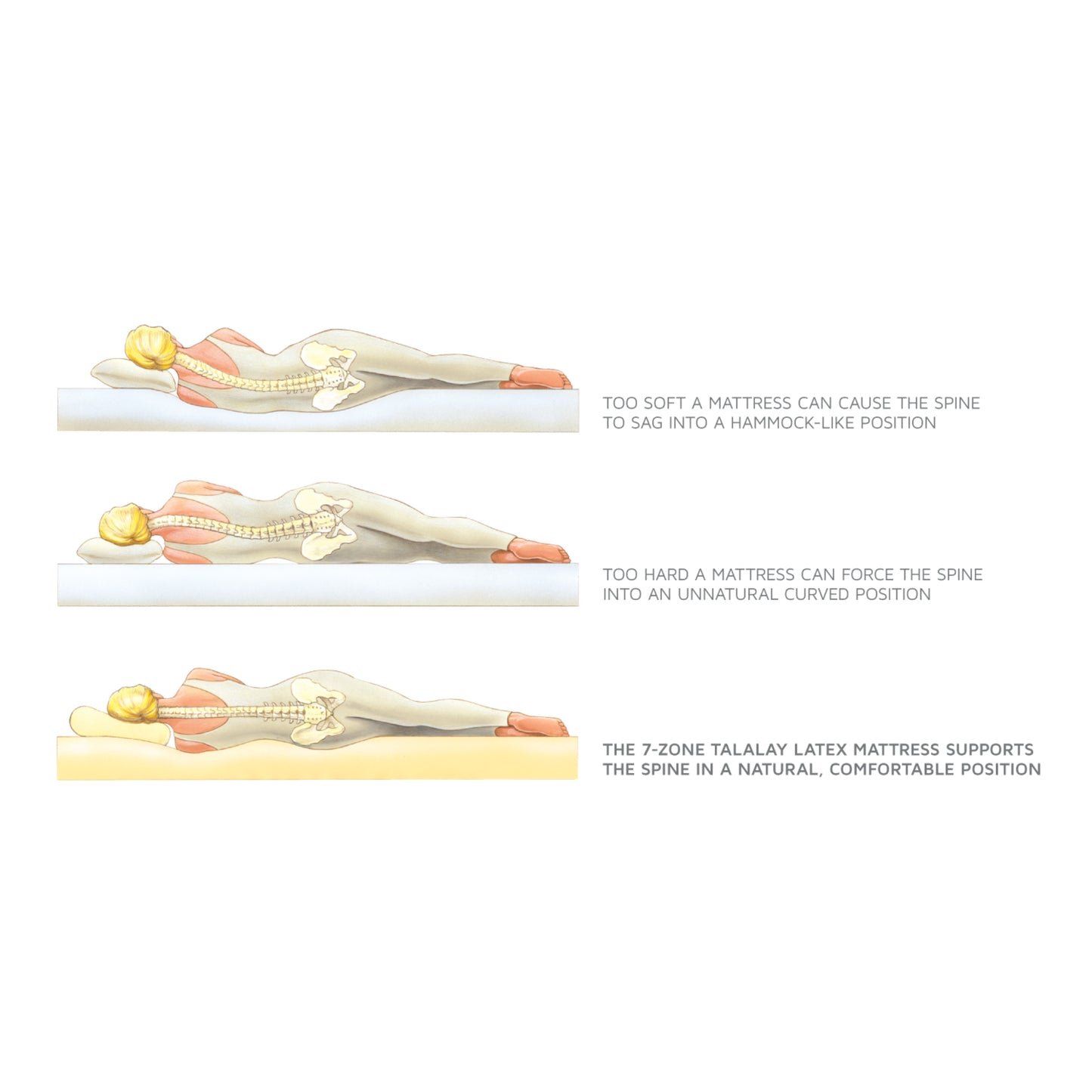 Royal Pedic Latex Mattress