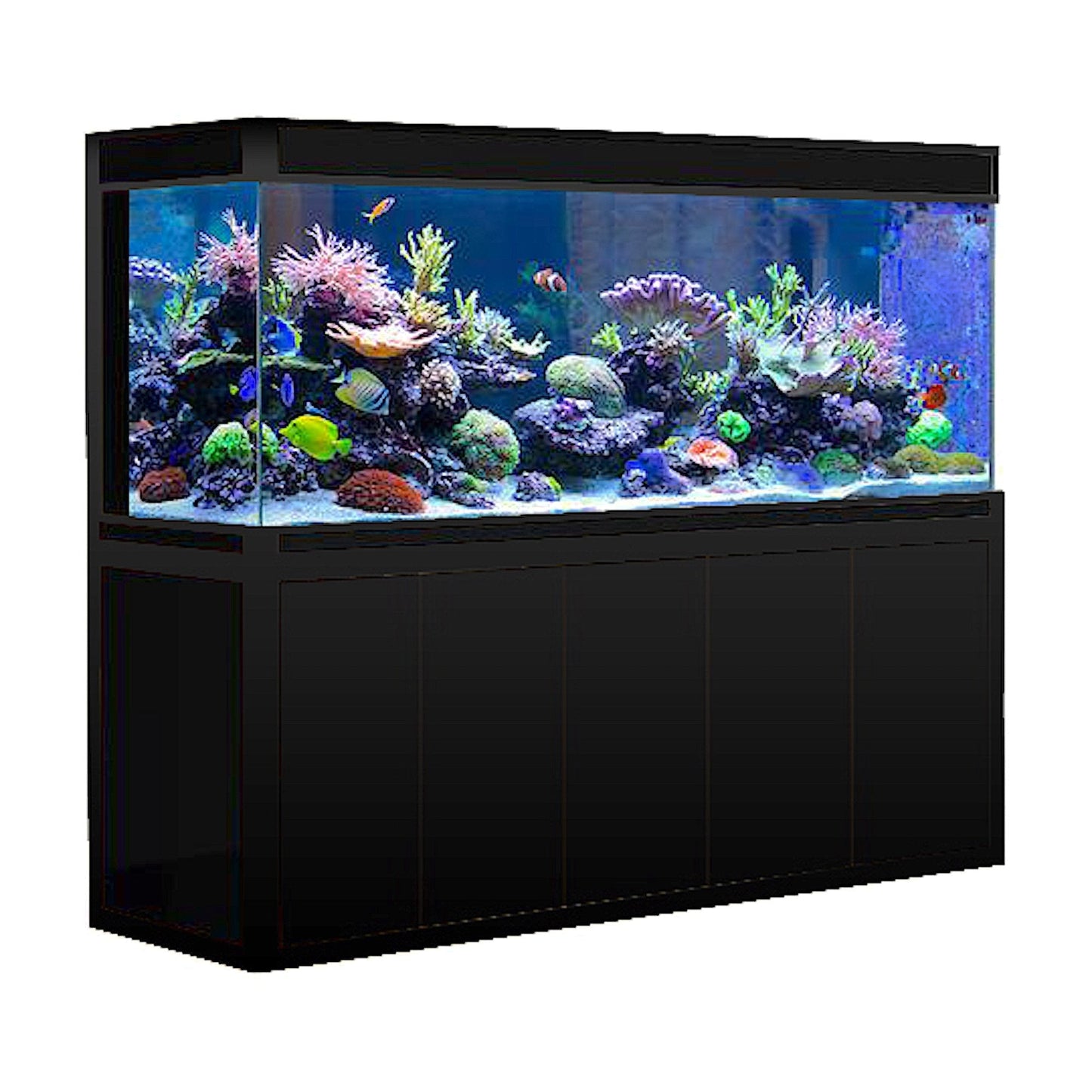 Aqua Dream 260 Gallon Aquarium Black Premium -  AD-1980-BP
