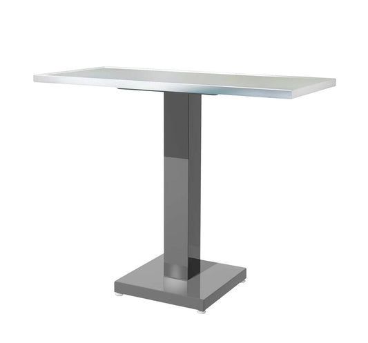 Avante Classic Veterinary Exam Table - 10541