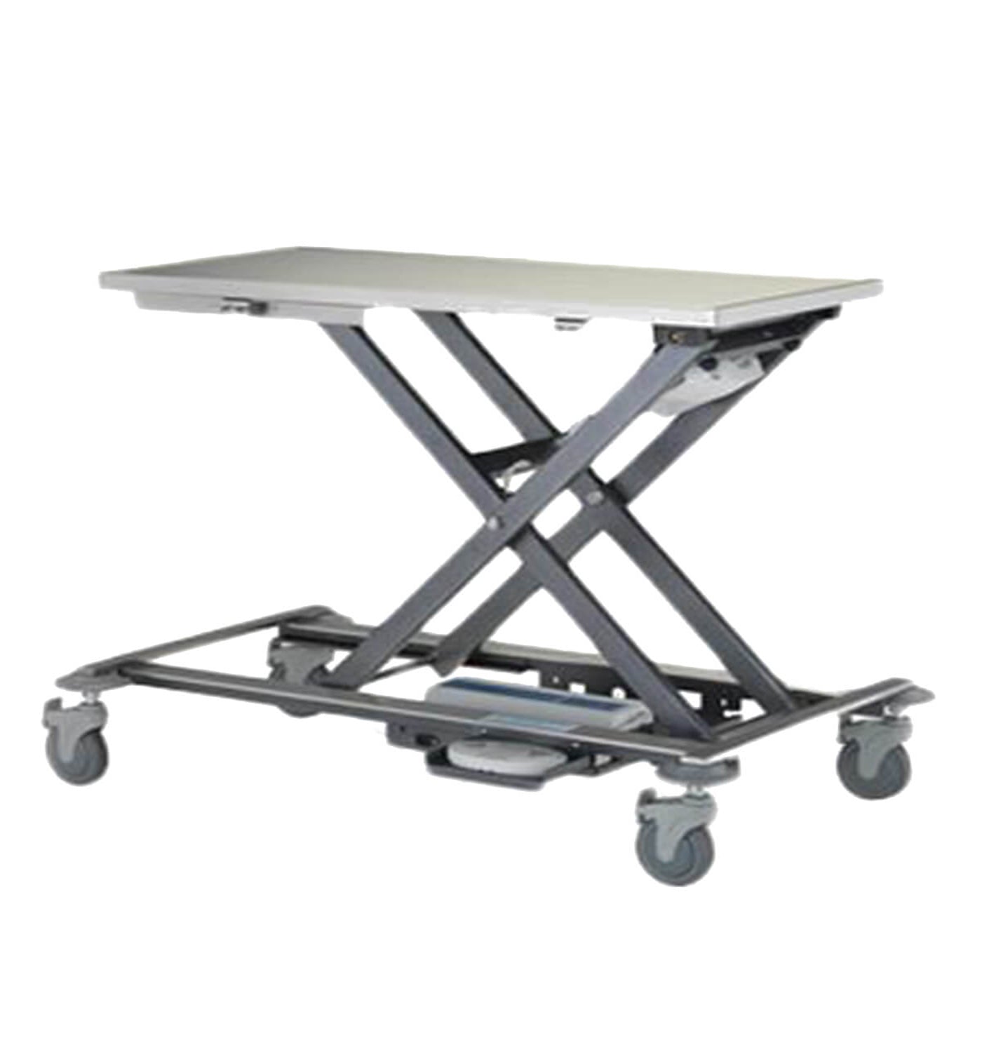 Avante Mobile Veterinary Animal Lift Table - 11041