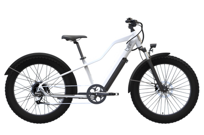 Blix Bike Ultra Fat Tire eBike - 01-0011-001-010
