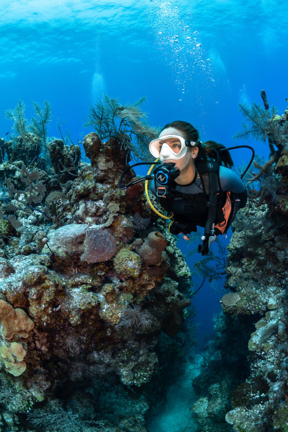 Aqua Lung Helix Compact Pro Stage3 1st, 2nd, Octo Regulator Set - REG416 DIN SET