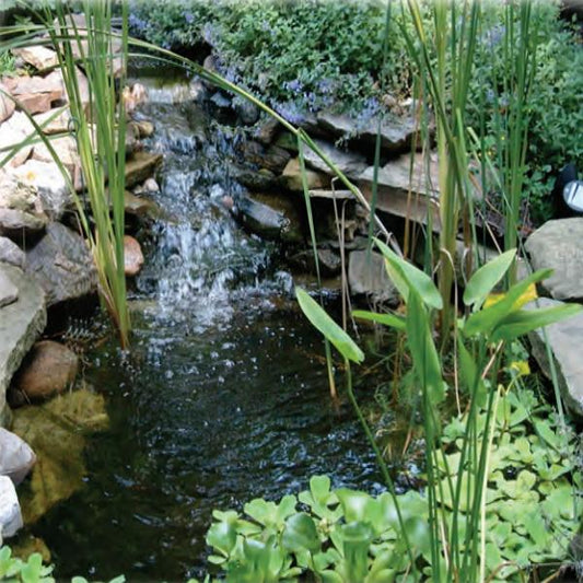 EasyPro Pro Series Medium Pond Kit 21' x 21' [EM2121FB]