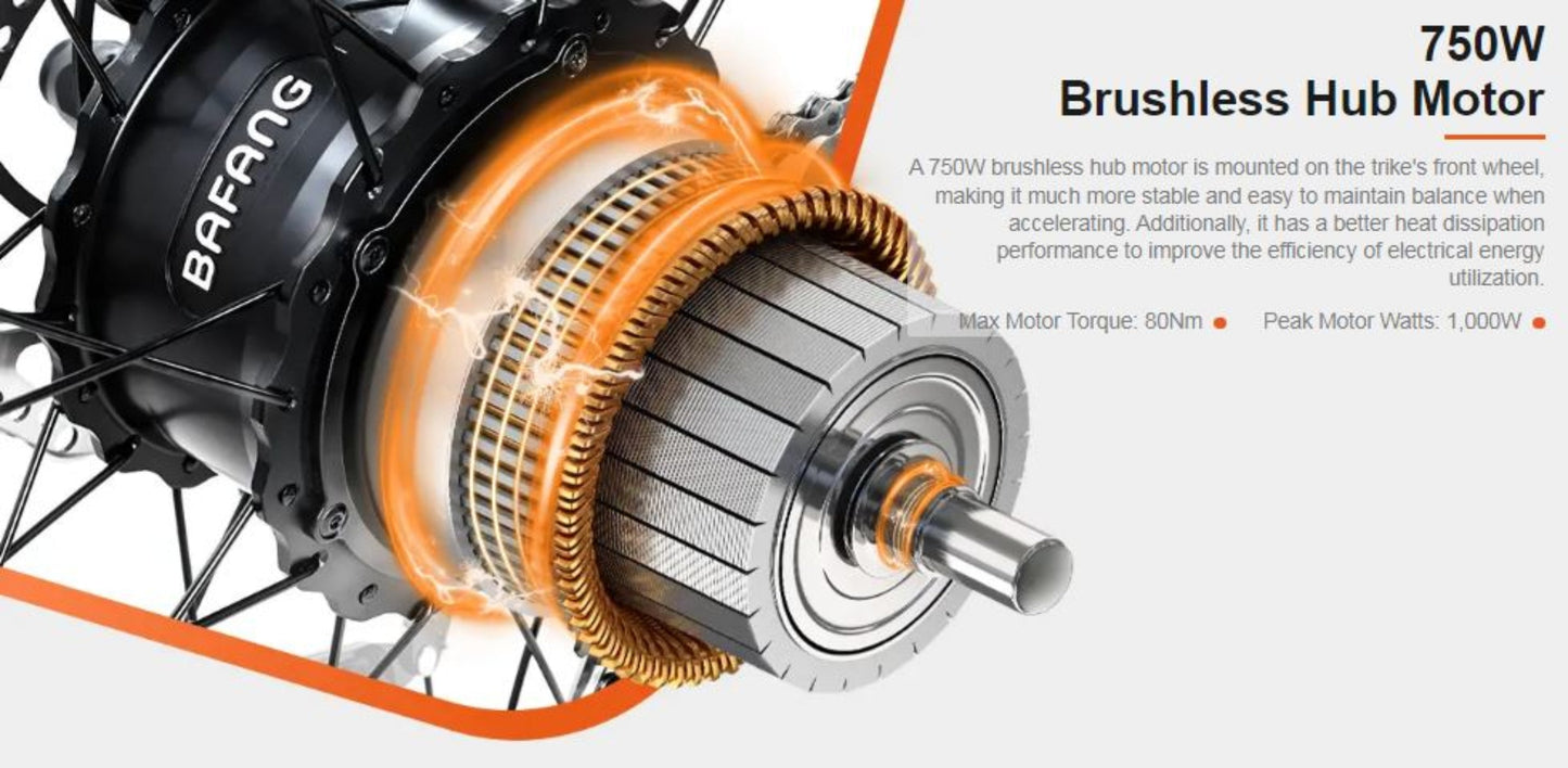 Addmotor 750W Grandtan City 3 Wheel Fat Tire Electric Bike - EB-ADD-GTAN-NEP