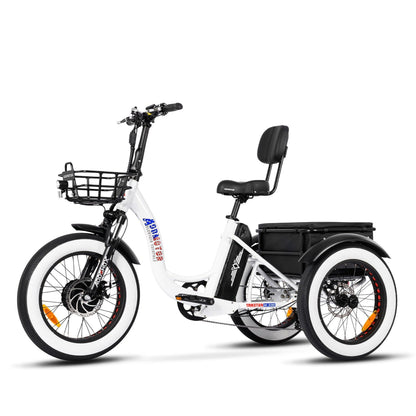 Addmotor 750W Triketan M-330 Fat Tire Electric Trike - EB-ADD-M330-BLK