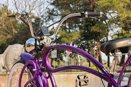 Tracer 1000W 26" Beyond Pro Classic Stretch Electric Bike - MB-EB-BP1000-BLK