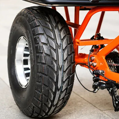 AddMotor 750W 48V Greattan D Cargo Electric Bike