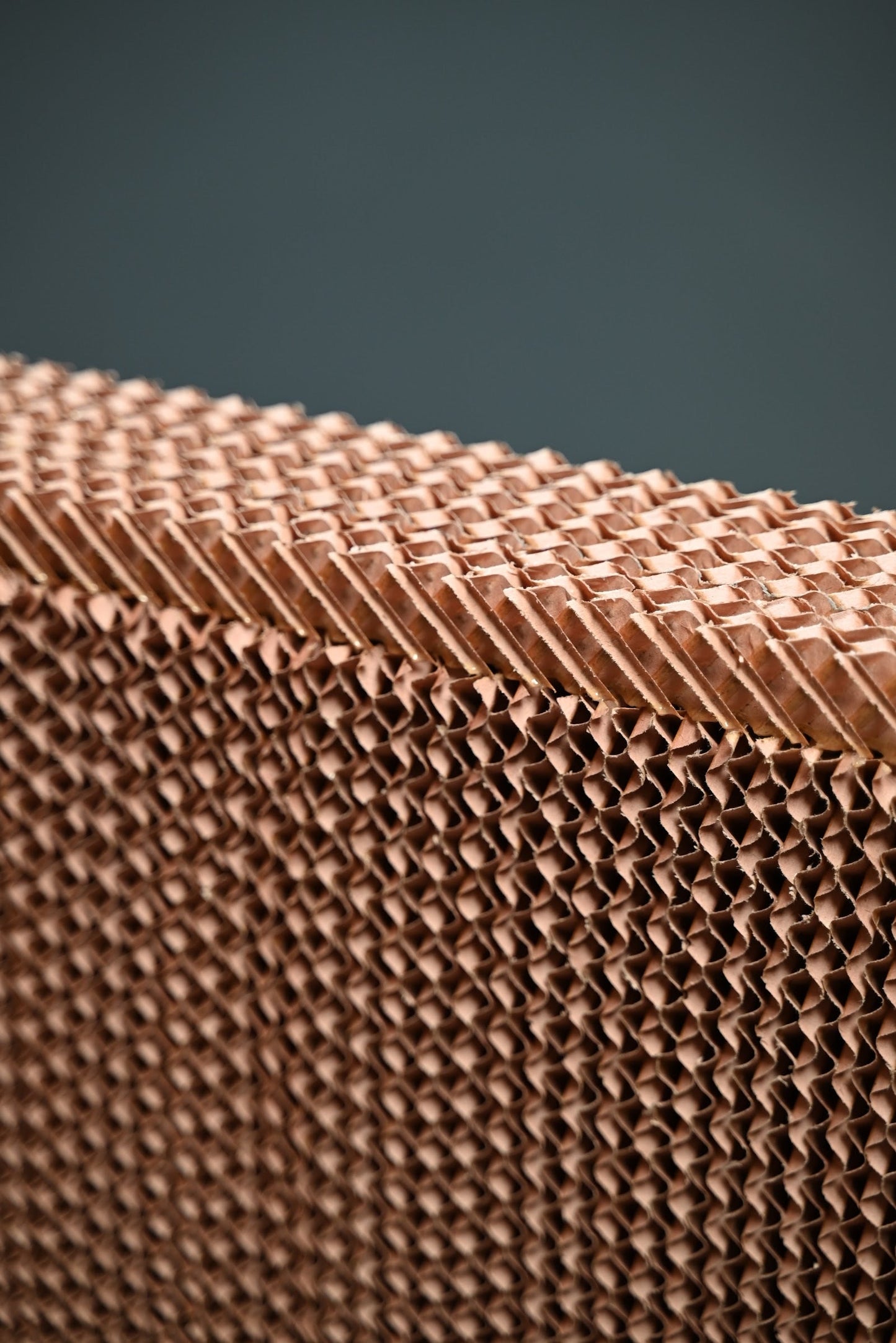 BLUECO PAD (MEDIA) - BCO30-P