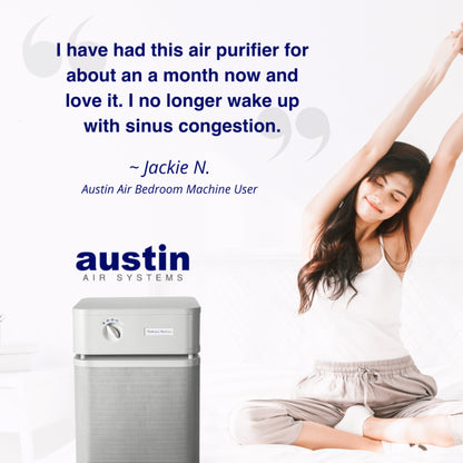 Austin Air Standard Bedroom Machine Air Purifier