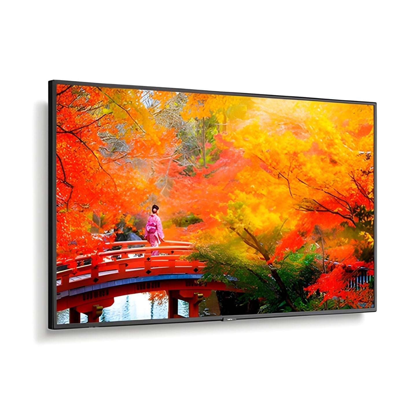 NEC MA491-PT 49" Wide Color Gamut Ultra High Definition Professional Display with PCAP touch - MA491PT