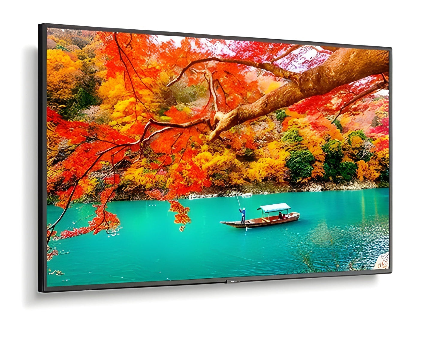 NEC MA431 43" Wide Color Gamut UHD Professional Display - MA431