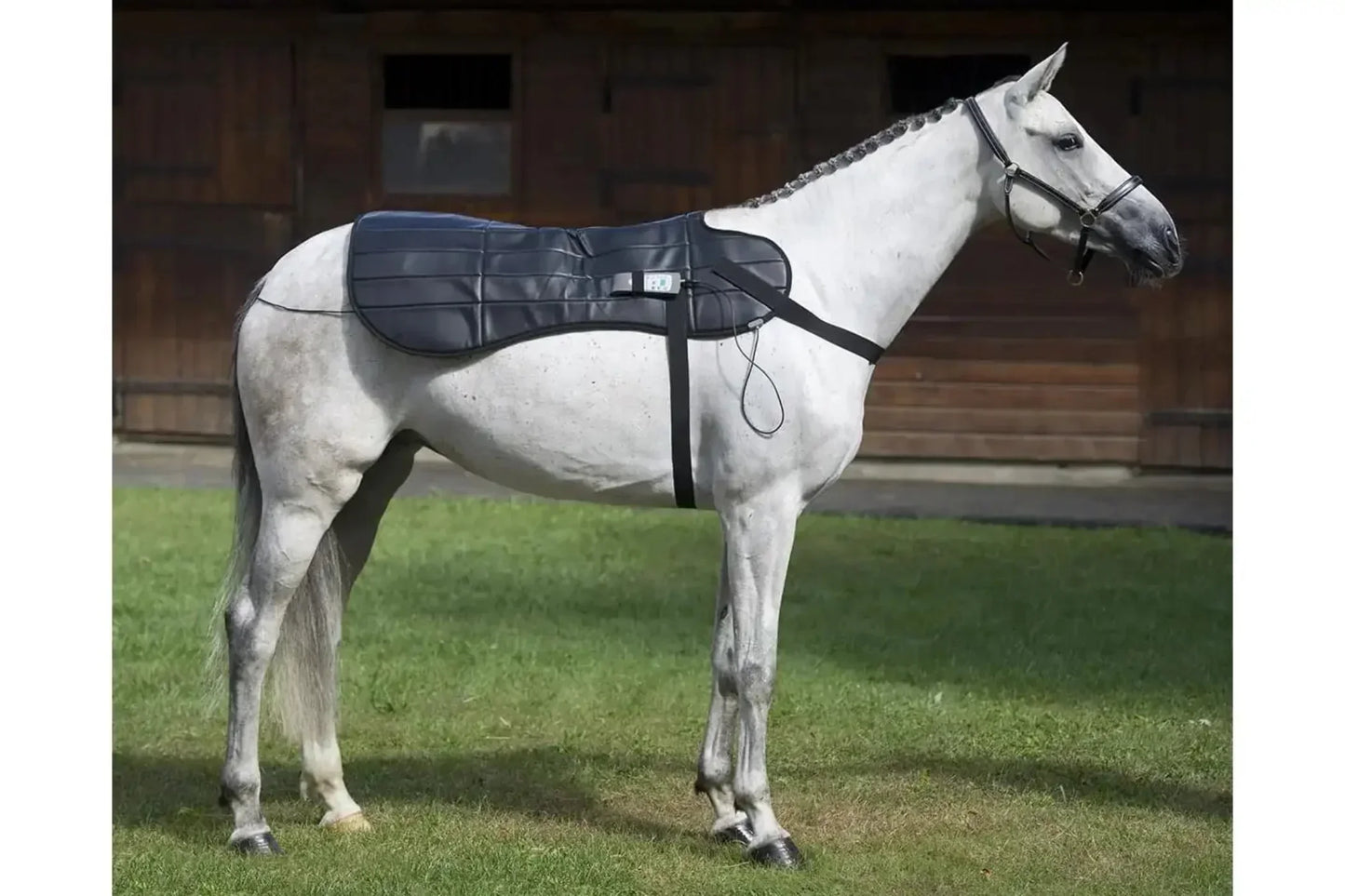 Oxford Medical Instruments OMI PEMF Full Equine Package: Blanket, Shoulder Band, Neck Wrap, Rear Leg Wrap, Front Leg Wrap - PEMF-HPK