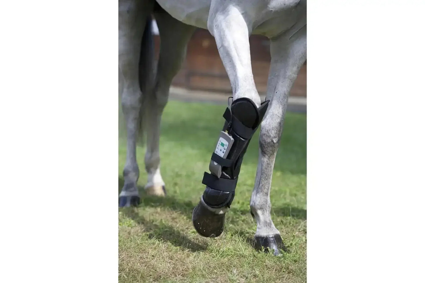 Oxford Medical Instruments OMI PEMF Full Equine Package: Blanket, Shoulder Band, Neck Wrap, Rear Leg Wrap, Front Leg Wrap - PEMF-HPK