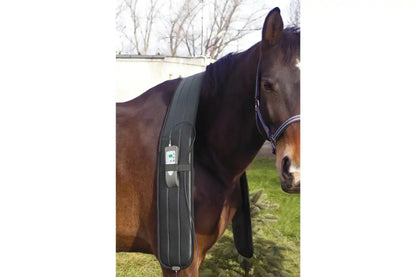 Oxford Medical Instruments OMI PEMF Full Equine Package: Blanket, Shoulder Band, Neck Wrap, Rear Leg Wrap, Front Leg Wrap - PEMF-HPK