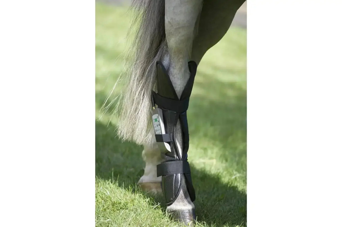 Oxford Medical Instruments OMI PEMF Horse Rear Leg Wrap - PEMF-H4