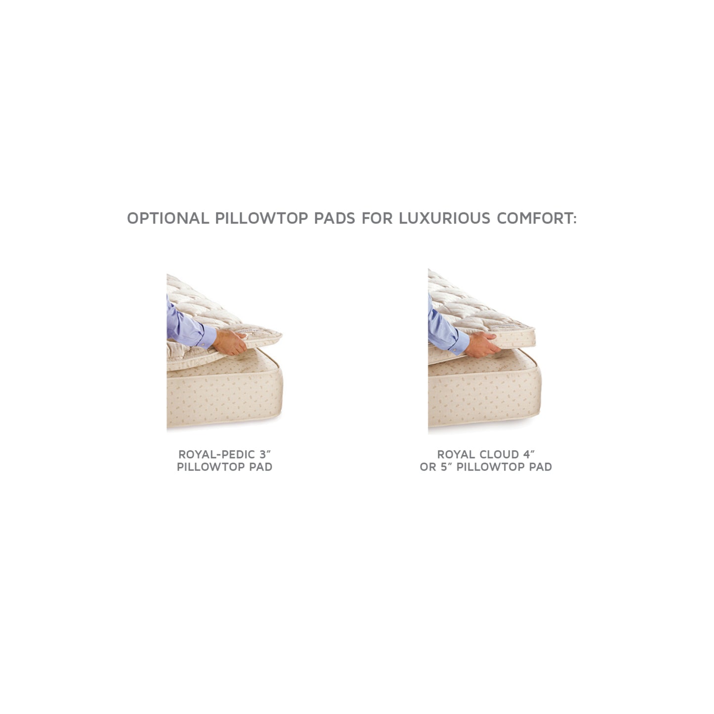 Royal Pedic All Cotton Mattress