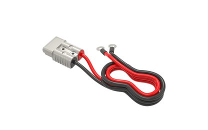 Big Battery 12V 2X HUSKY 2 KIT – AIMS + CHARGER - K0744