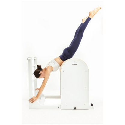 Sportline™ Superior Ladder Barrel - Backyard Provider