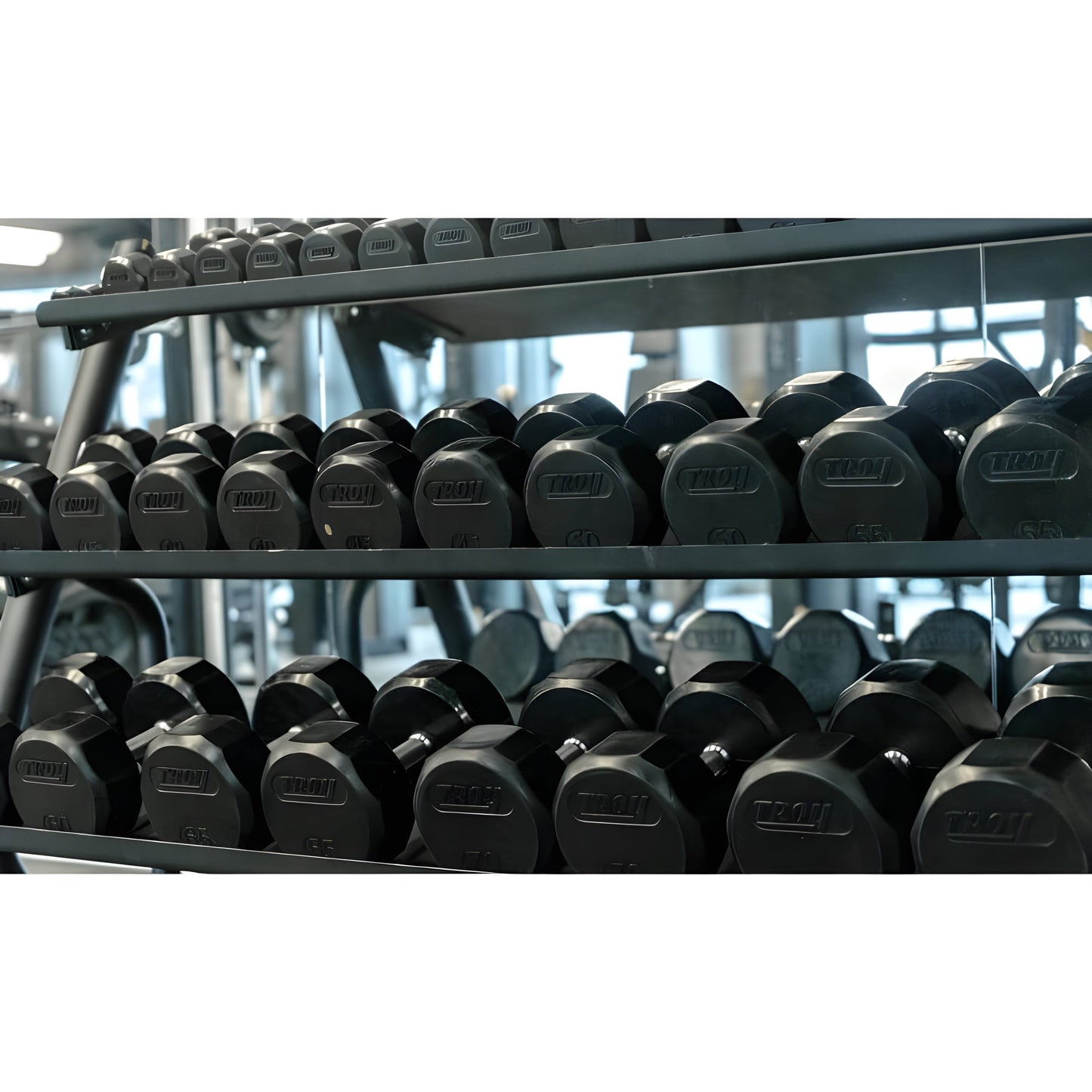 Troy  12-Sided Dumbbells & Rack Set - VERTPAC-TSDR75