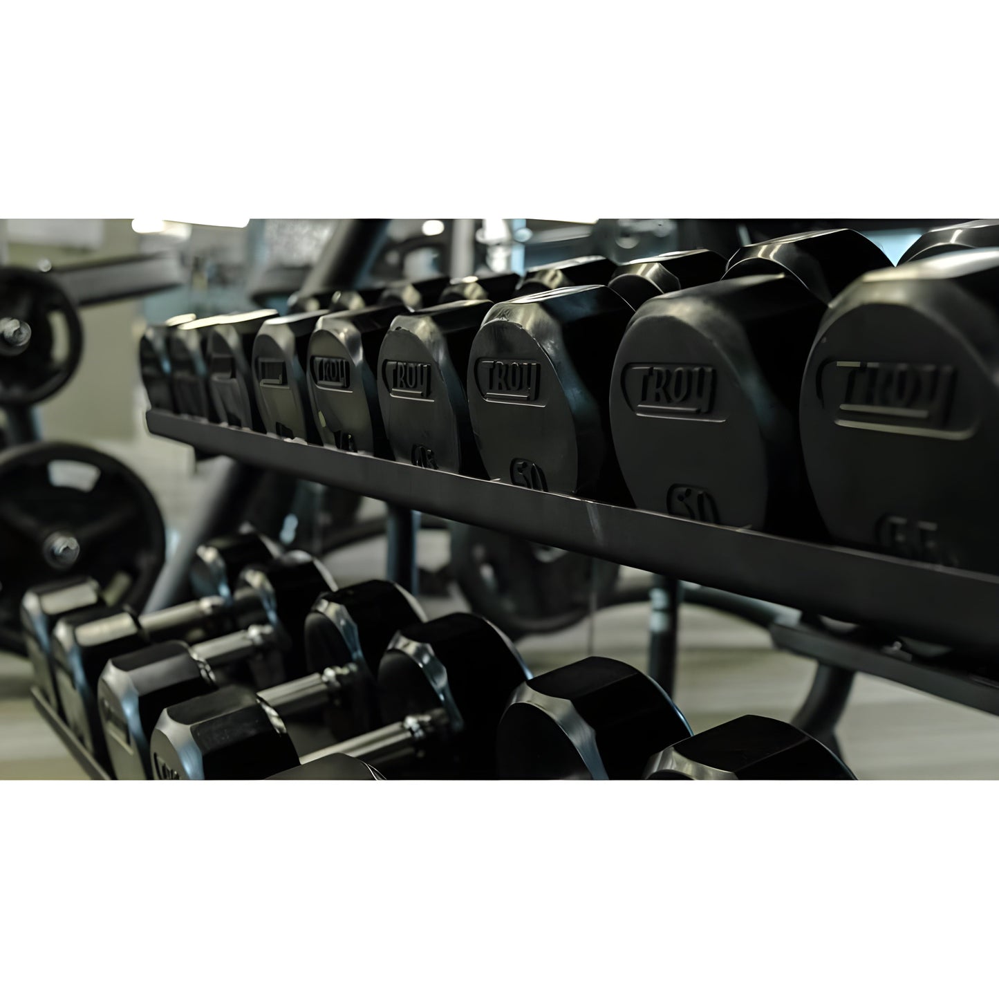 Troy  12-Sided Dumbbells & Rack Set - VERTPAC-TSDR75