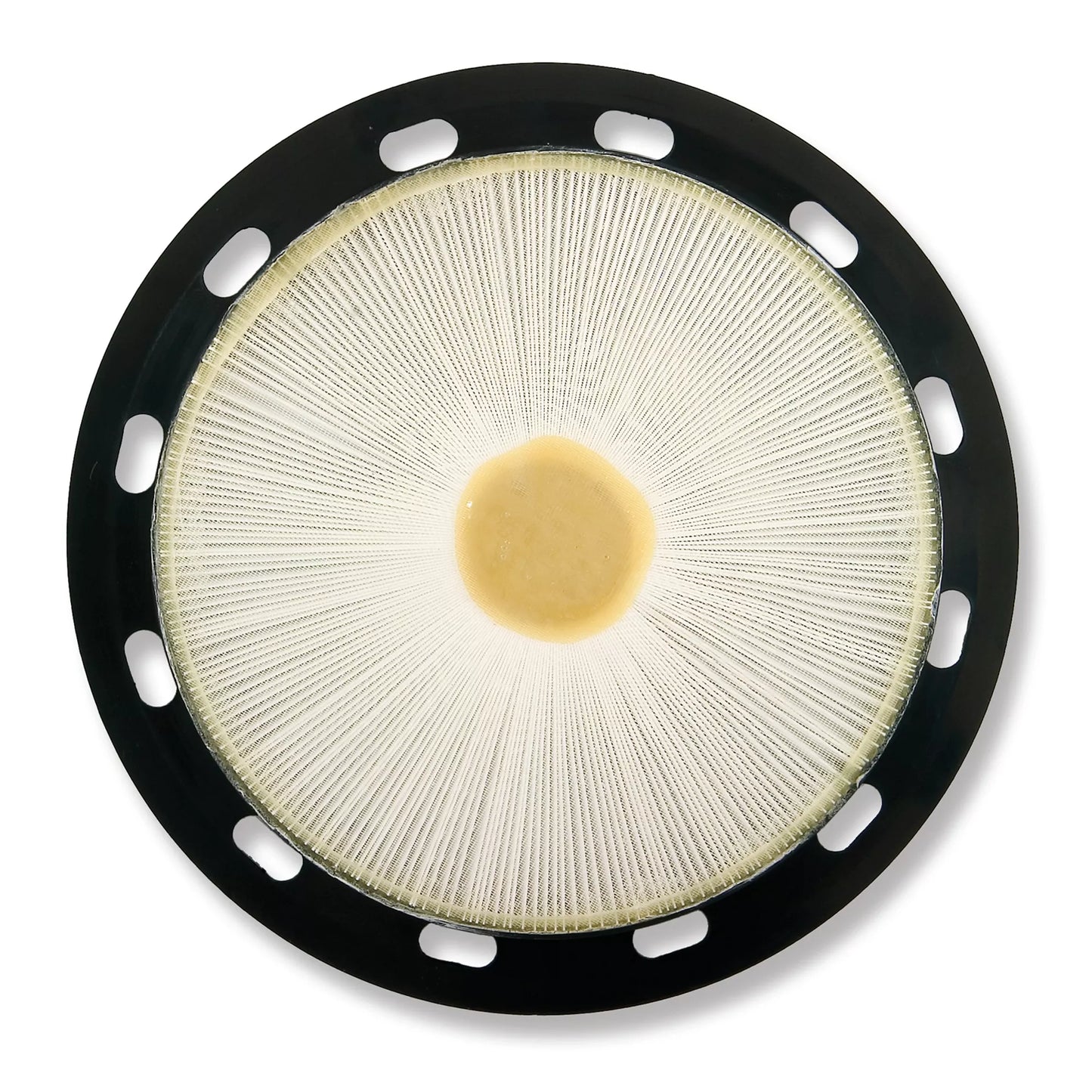 Advance Euroclean GD930, 3 Gallon, 17.5lbs, 35' cord, With Tools, HEPA - 9055314010