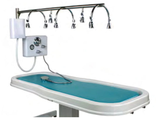 Touch America Stationary Neptune Wet Table and 8-Head Vichy Shower Deluxe Package - 82030+22003-0100