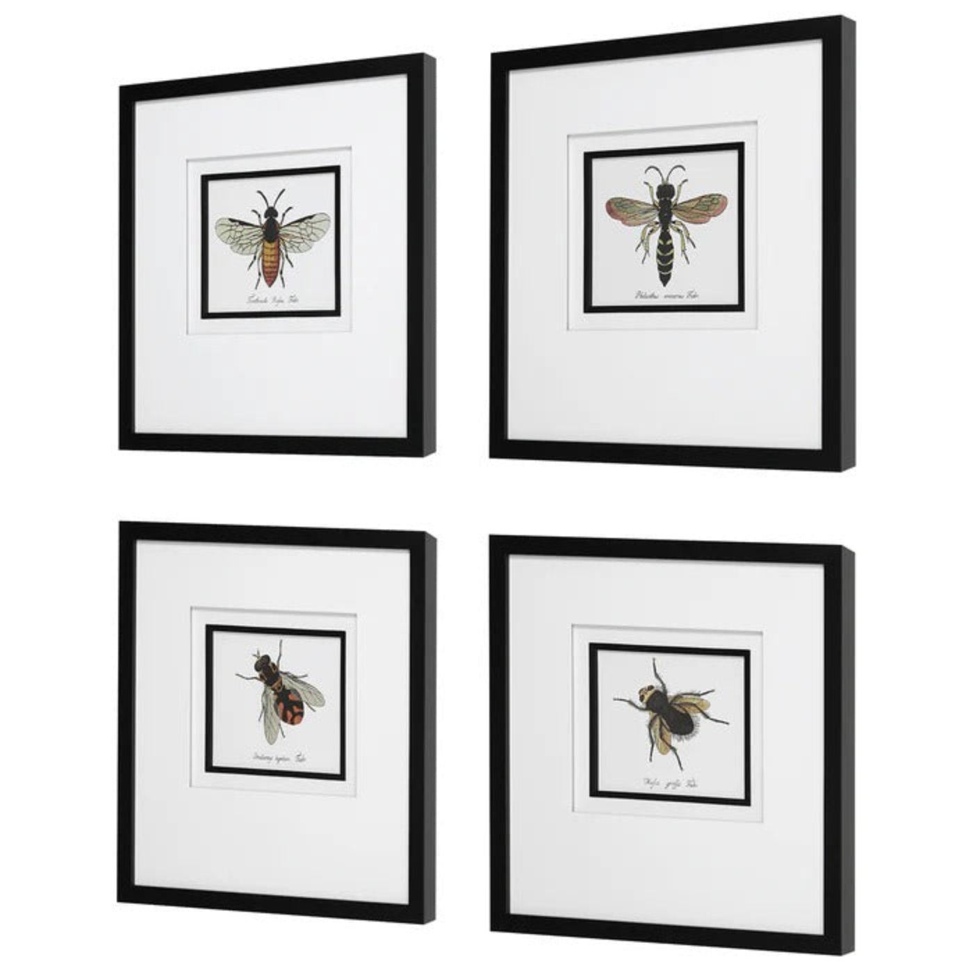 Uttermost Anthophila Framed Prints, S/4 41428 - S/4 41428