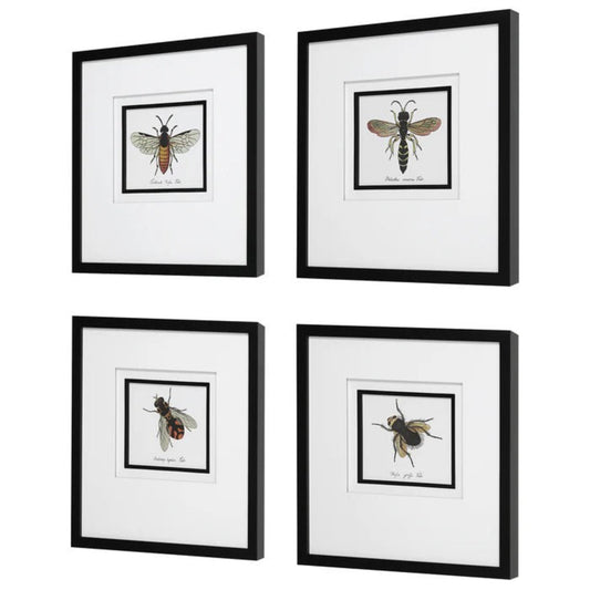 Uttermost Anthophila Framed Prints, S/4 41428 - S/4 41428