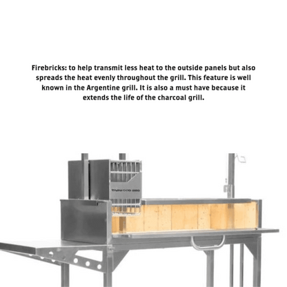 Tagwood BBQ09SS Built-In Insert Santa Maria Argentine Grill + 60 Firebricks Bundle - BBQ09-1