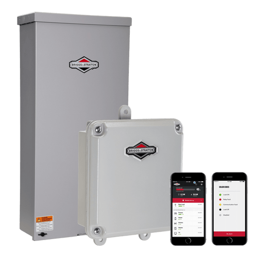 Briggs and Stratton 071271 200-Amp Service Disconnect Outdoor Automatic Transfer Switch New