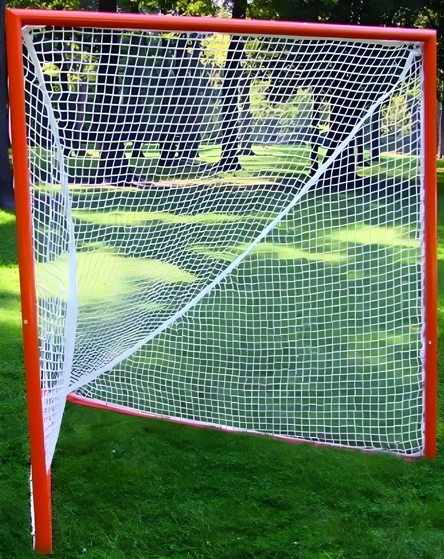 Trigon Sports Lacrosse Goal & Net Offical NCAA Specs - LGOFF