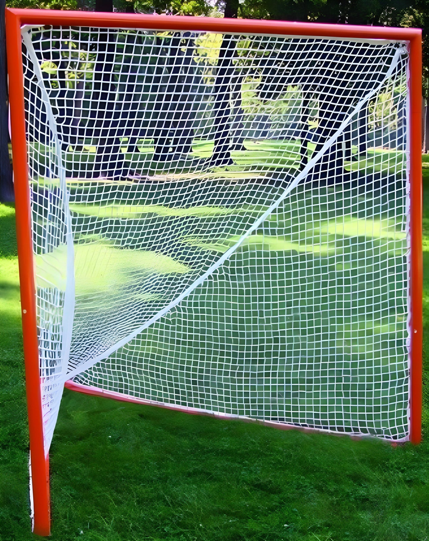 Trigon Sports Lacrosse Goal & Net Offical NCAA Specs -  LGOFF