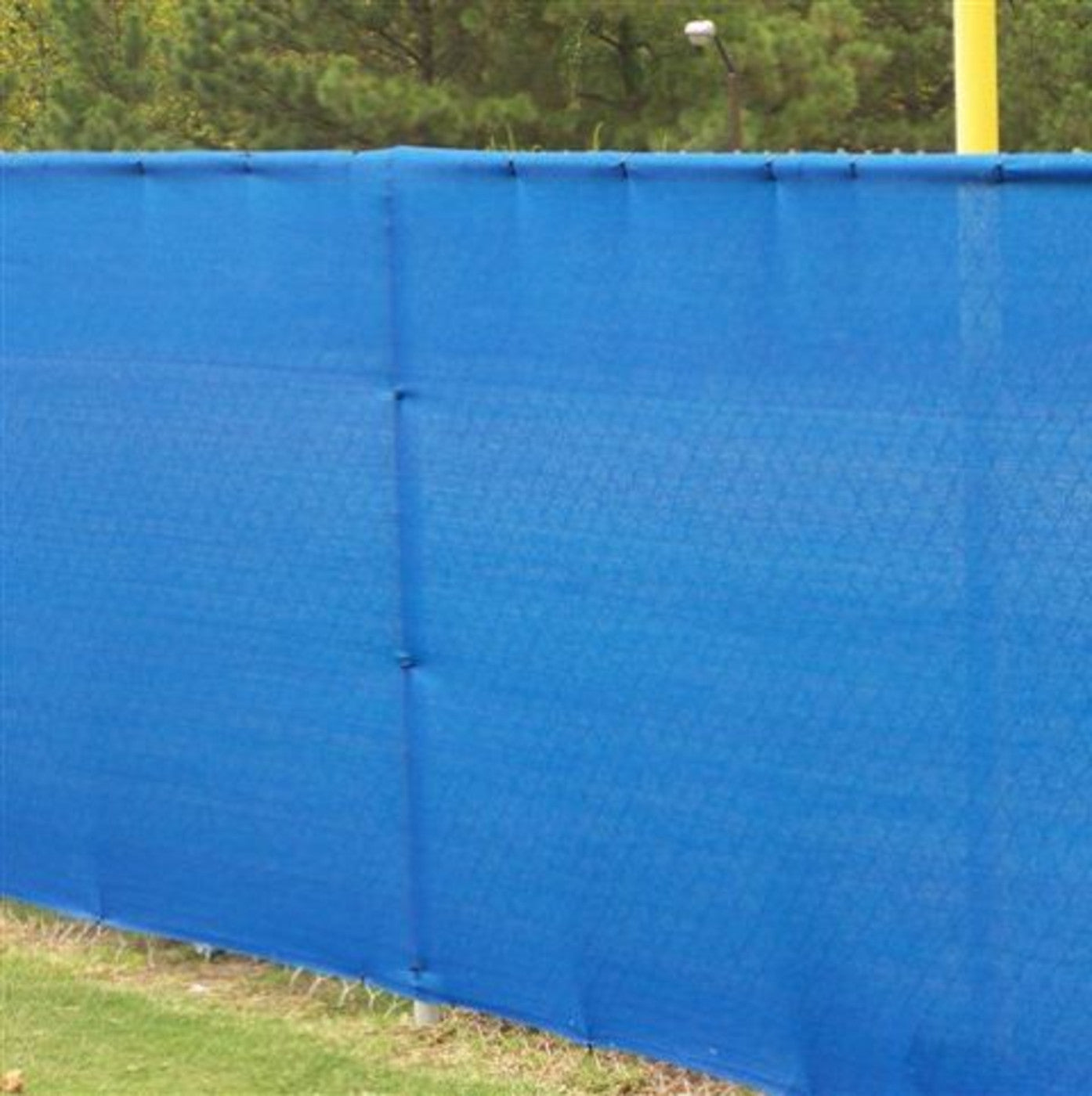 Trigon Sports Rollout Privacy Screen (no eyelets) Size: 3' 8'' x 50 yds Color: GREEN ONLY PPV38